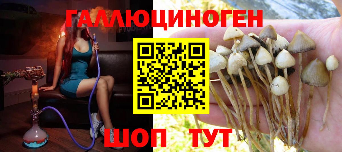 Псилоцибиновые грибы ЛСД Псков